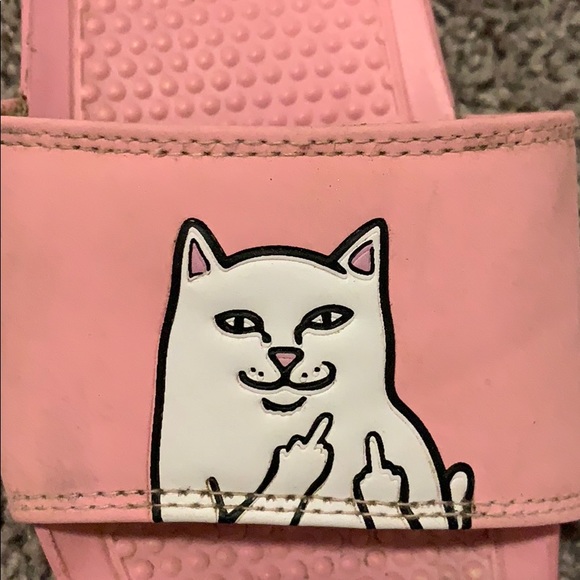 RIPNDIP slides - Picture 5 of 5